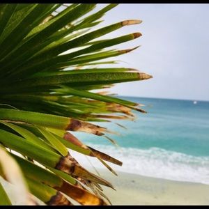 Meet your Posher, Whitney